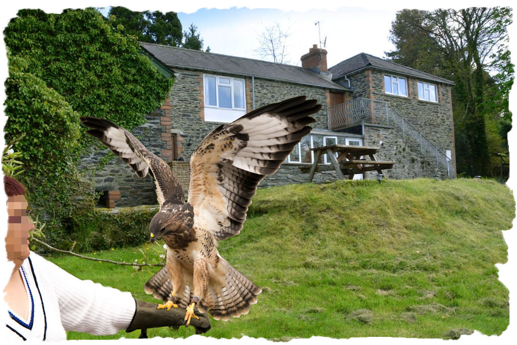our birds of prey are always a hit with visitors
